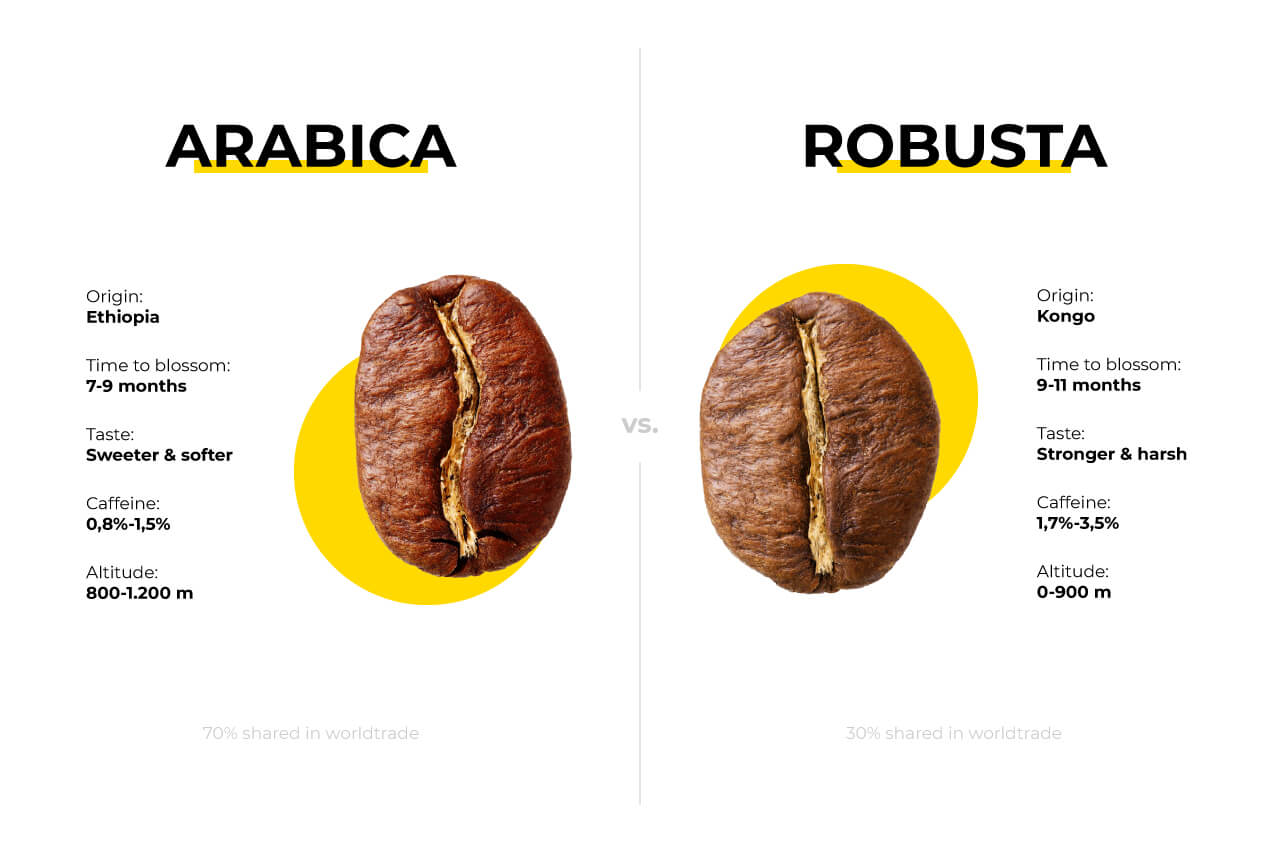 Arabica vs Robusta 