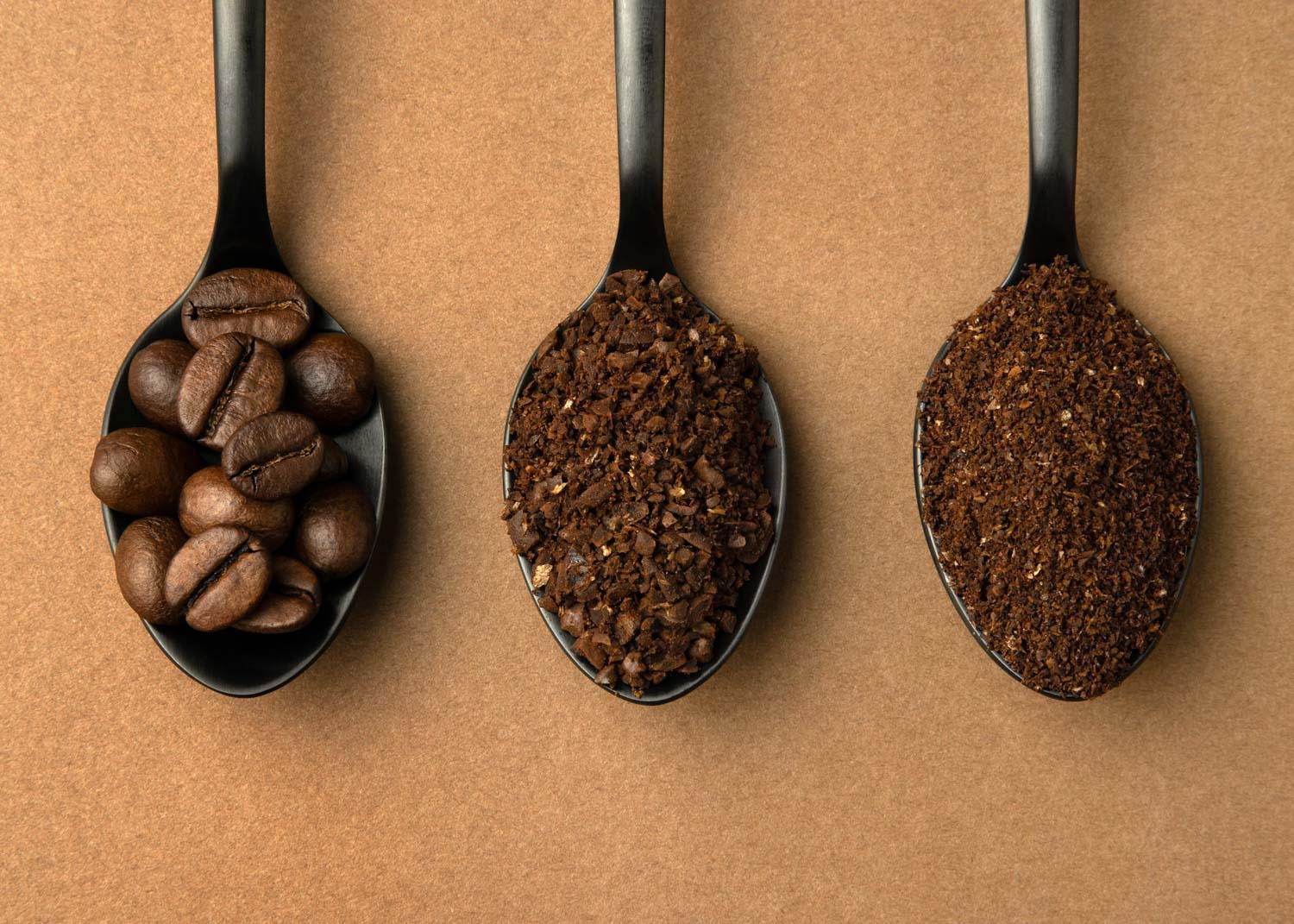 Ground coffee spoon