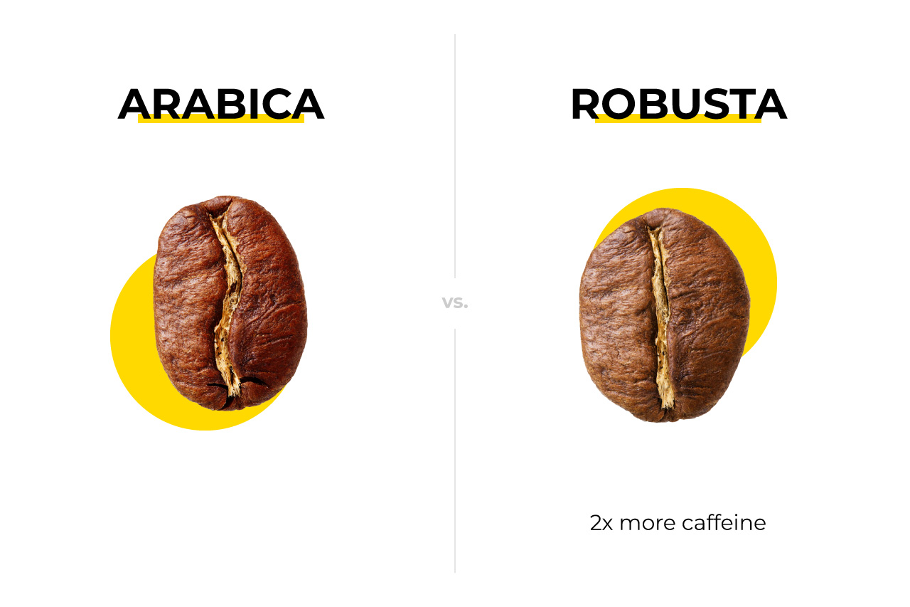 Compared 2 coffee beans - Arabica vs Robusta 