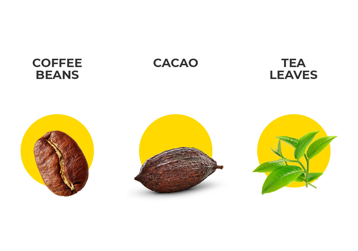 Compared coffee bean, cacao bean and tea leave