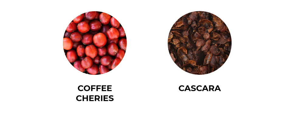 Coffee cherries/Cascara