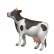 Cow's milk foam