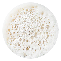 Almond milk foam